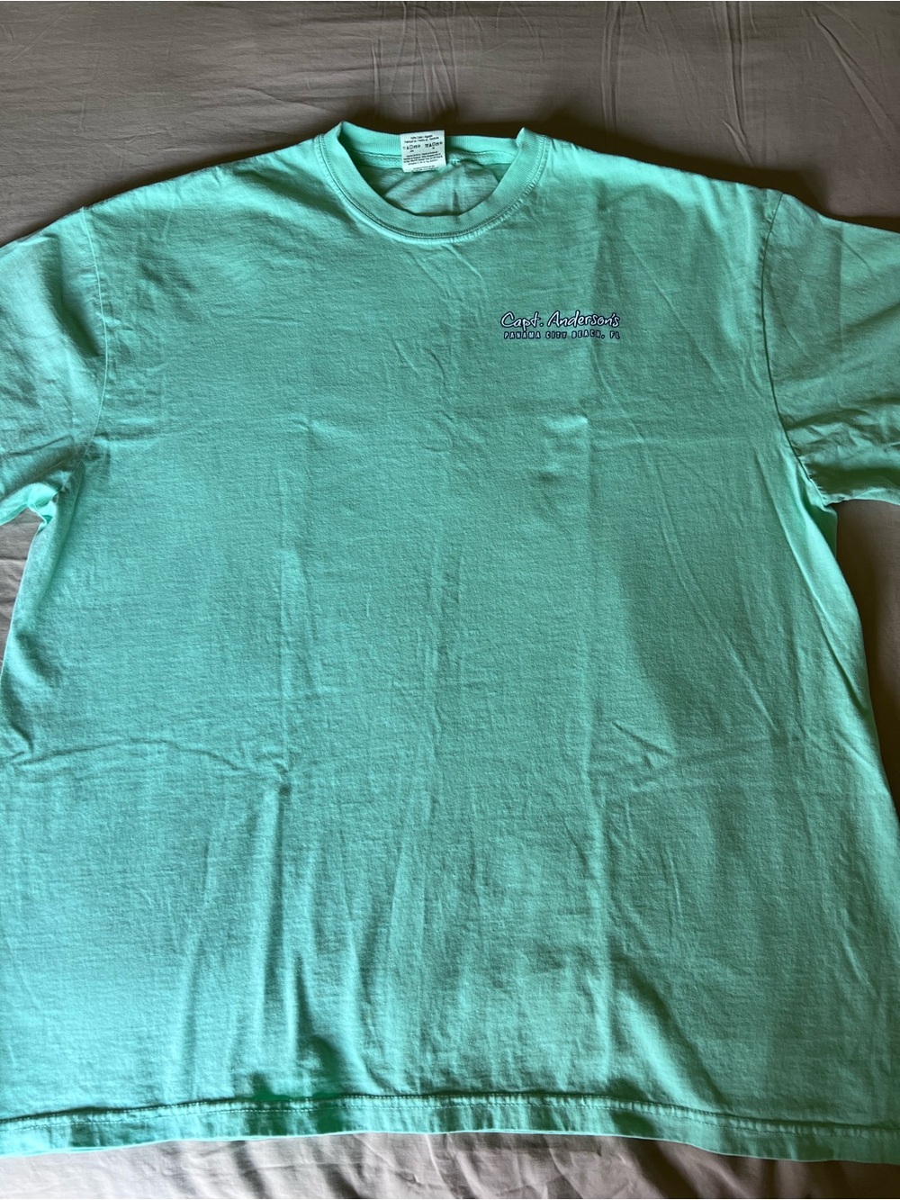 Comfort Colors Mint Crewneck T-Shirt with Small Chest Logo Panama City Florida